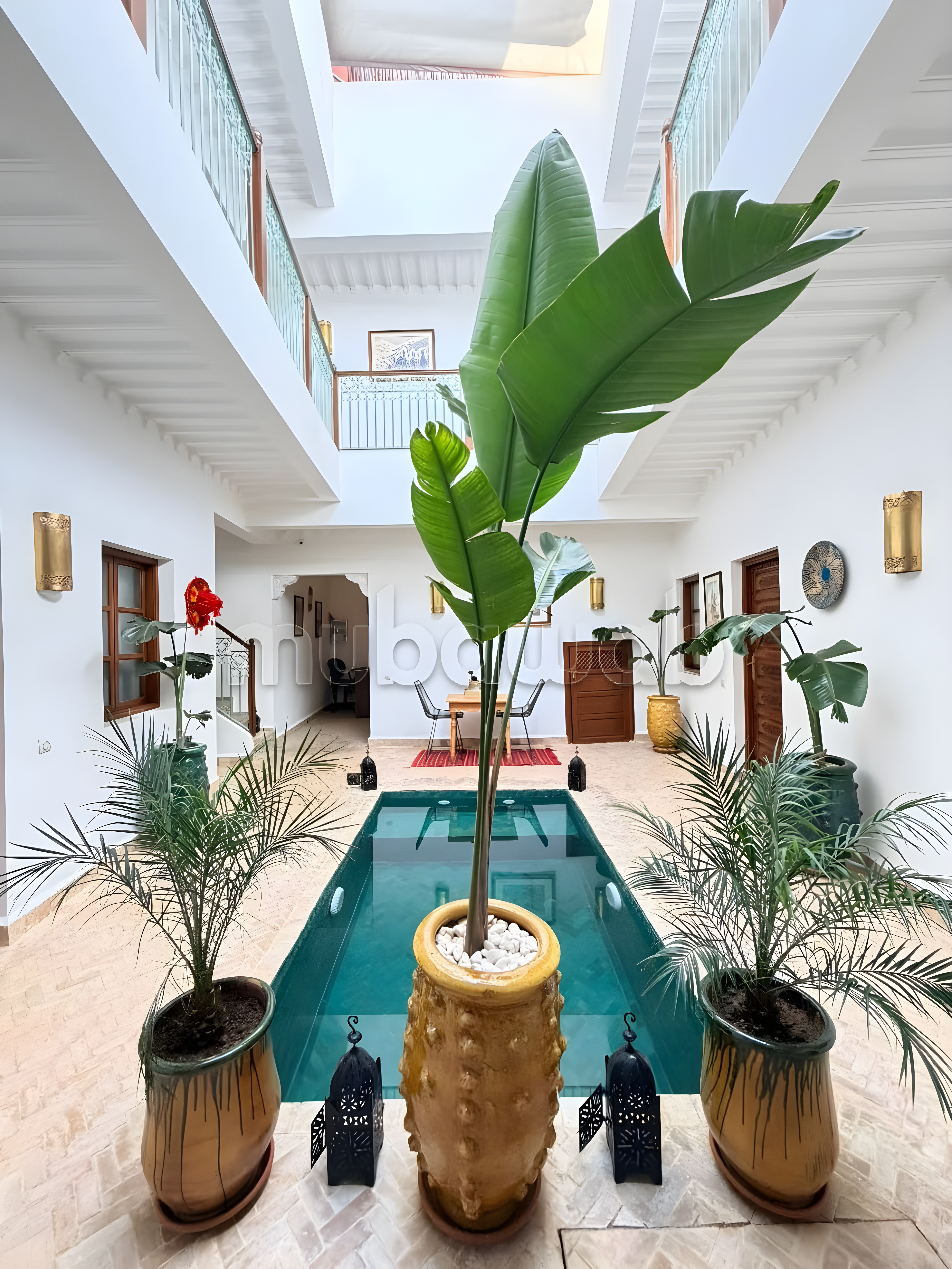 Courtyard of Riad Zitoun guesthouse with pool and plants.
