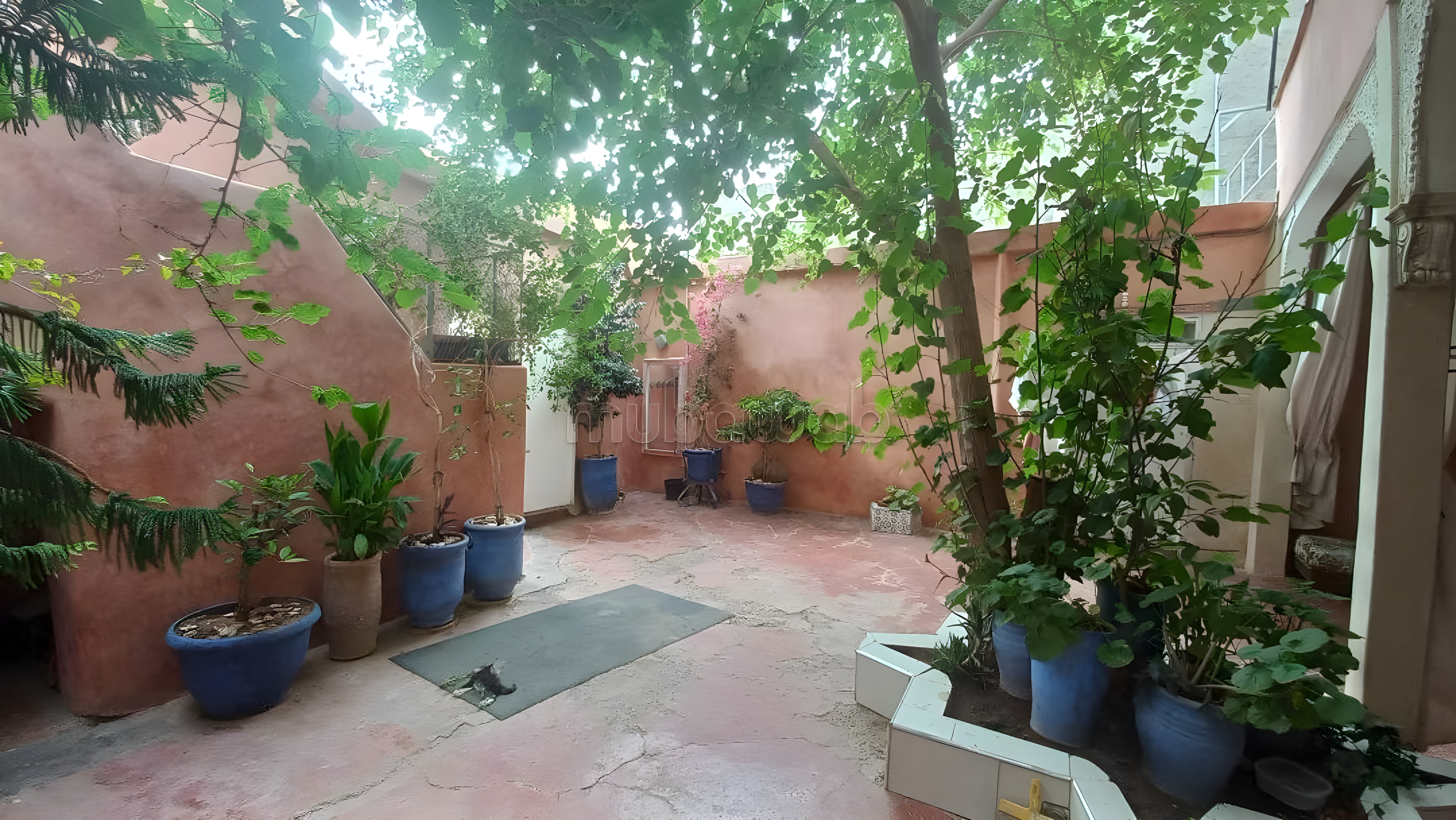Courtyard in Ksibat Nhas guesthouse with greenery and blue pots.
